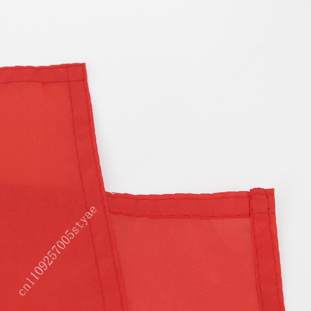 Canada National Flags Wall dec - Home Decor Canada review and price