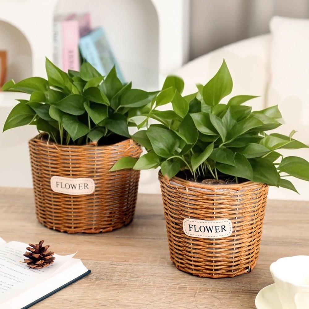 Decorative Tabletop Imitation  - Rattan Plant Basket review and price